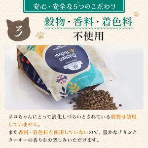 公式 アランズ ナチュラルキャットフード チキ...の詳細画像4