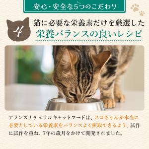 公式 アランズ ナチュラルキャットフード チキ...の詳細画像5