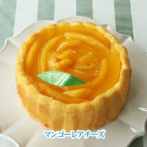 お中元 2023 ケーキ スイーツ ギフト フラワーマンゴーレアチーズケーキ （おのし・包装・ラッピング不可）6/8-9/5お届け注文期間8/31まで