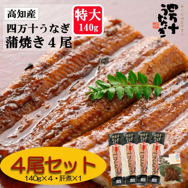 【産地直送・四万十うなぎ】 味付け肝煮付き!! 四万十うなぎ蒲焼（大）約140g 4本セット 四万十...