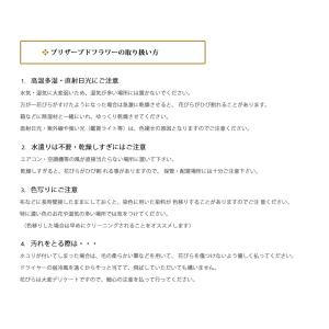 プリザーブドフラワー 花束 卒業式 成人式花束...の詳細画像4