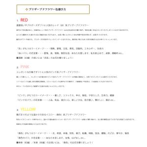 プリザーブドフラワー 花束 卒業式 成人式花束...の詳細画像5