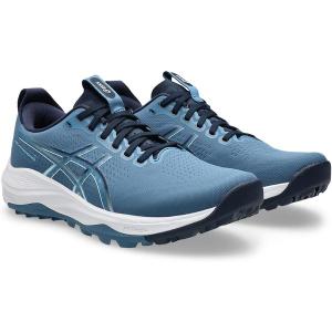 アシックス asics GEL-KAYANO ACE 3 標準幅 2E相当 メンズ ゴルフシューズ 1111A265-400