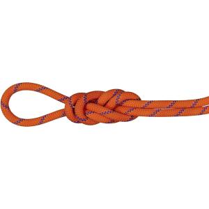 MAMMUT マムート 9.0 Alpine Sender Dry Rope アウトドア アクセサリー 201004200D-11237｜lafitte