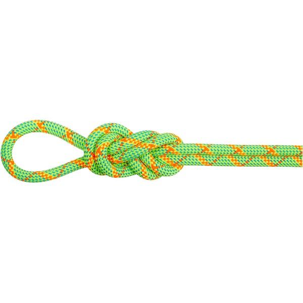 MAMMUT マムート 8.0 Alpine Core Protect Dry Rope 50m ア...