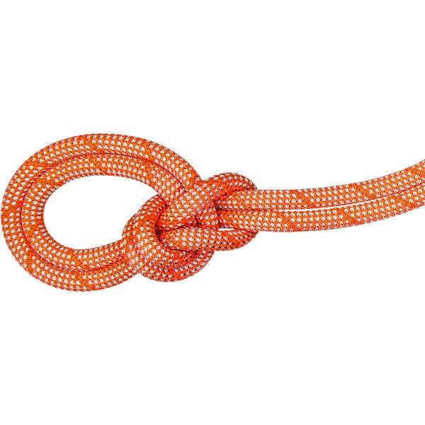 MAMMUT マムート 9.8 Crag Classic Rope 50m アウトドア クライミング...