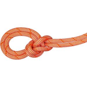 MAMMUT マムート 9.8 Crag Classic Rope 60m アウトドア クライミング用品 201005860-2107