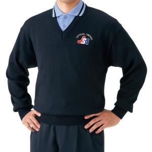 DESCENTE デサント 野球 ストライプシャツ ユニフォームシャツ