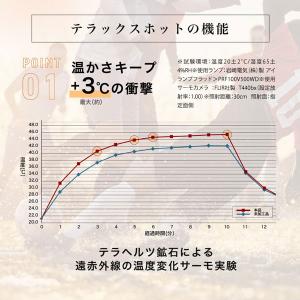 Activital アクティバイタル TERA...の詳細画像5