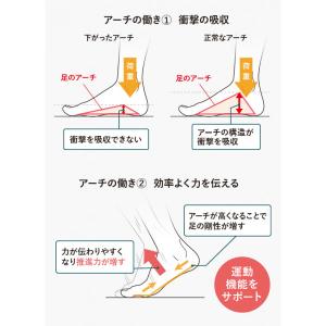 AKAISHI アカイシ 156 ファイテンフ...の詳細画像3
