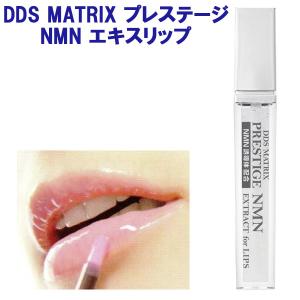 DDS MATRIX マトリックス エキス リップ用 8g ヒト脂肪細胞 線維芽細胞 ヒアルロン酸 コラーゲン エラスチン｜lafitte