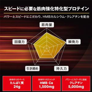 DNS ディーエヌエス ホエイプロテイン HM...の詳細画像4