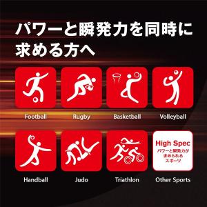 DNS ディーエヌエス ホエイプロテイン HM...の詳細画像5