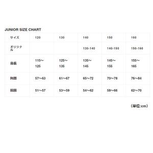 GAViC ガビック サッカー・フットサル ス...の詳細画像3