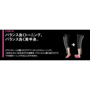 AKAISHI アカイシ バランストーン・ラー...の詳細画像1