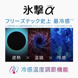 フリーズテック FREEZE TECH 氷撃α...の詳細画像3