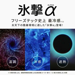 フリーズテック FREEZE TECH 氷撃α...の詳細画像3