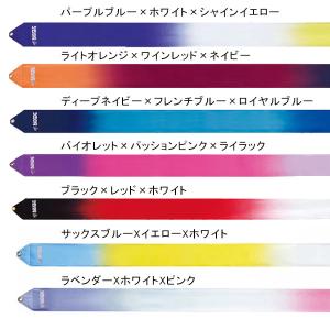ササキスポーツ SASAKI 新体操 手具 ハ...の詳細画像1