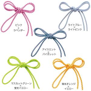 ササキスポーツ SASAKI 新体操 手具 ジ...の詳細画像1