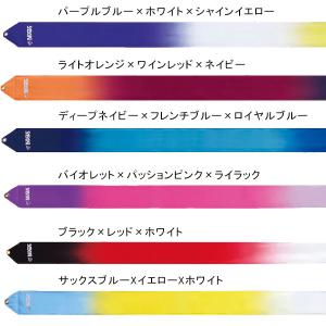 ササキスポーツ SASAKI 新体操 手具 ハ...の詳細画像1
