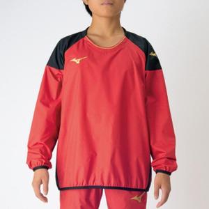 ☆送料無料☆読売 ジャイアンツ 巨人 中田翔 背番号＆毛筆 応援