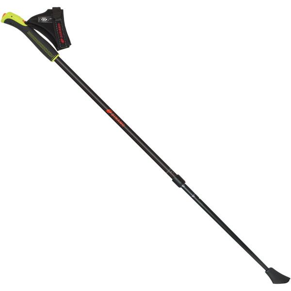 SINANO シナノ ノルディック・アグレッシブウォーク専用モデル レビータノルディック ブラック ...