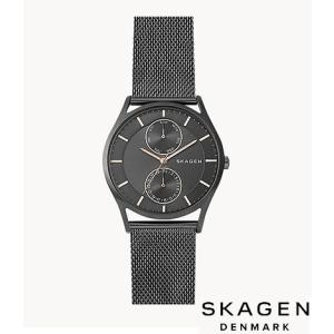 SKAGEN スカーゲン 腕時計 SIGNATUR 三針 グレースチール