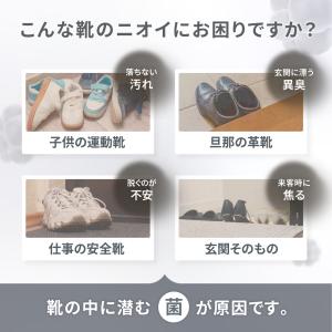 靴 消臭 パウダー DEOCAN(デオキャン)...の詳細画像2
