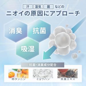 靴 消臭 パウダー DEOCAN(デオキャン)...の詳細画像3