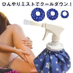 ミスト 氷嚢 アイスバッグ スプレー 2WAY ...の商品画像