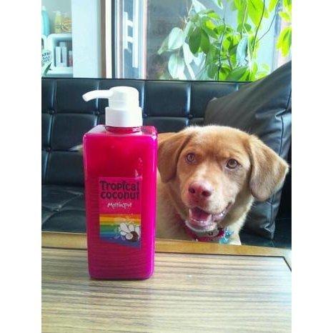 めるぽオリジナル「トロピカルココナッツトリートメント　ボトル　600ｇ」送料込　ノンシリコン・鉱物油...