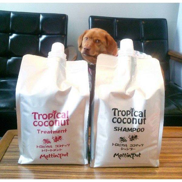 トロピカルココナッツレフィル（1000ml）SET　詰め替え用シャンプー＋詰め替え用トリートメント