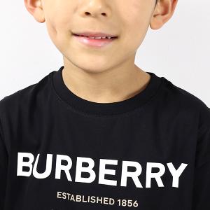 BURBERRY バーバリー Horsefer...の詳細画像5