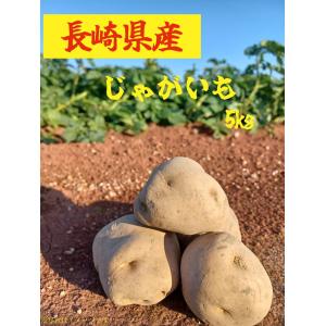 じゃがいも 5kg 長崎県産 新じゃが 土付き ニシユタカ 産地直送 新鮮 ジャガイモ 馬鈴薯 野菜 ポテト