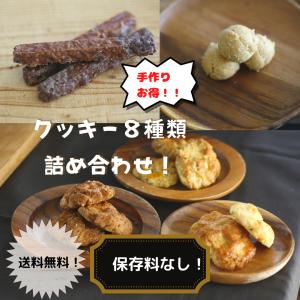 焼き菓子 クッキー詰め合わせ 安い ギフト お試しセット お菓子 沖縄 お土産｜lakestyle