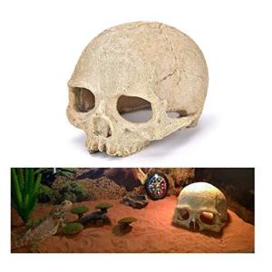 ヤドカリ飼育ケースの商品一覧 通販 Yahoo ショッピング