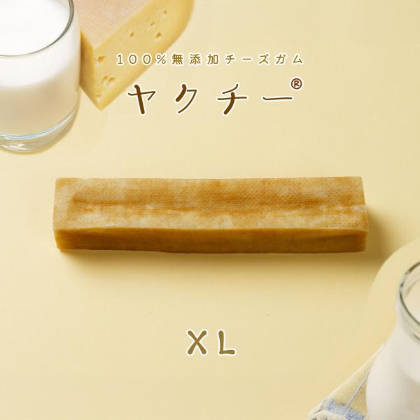 無添加 犬 おやつ ヤクチー ヒマラヤ チーズ 長持ち 硬い ハードスティック 歯磨き ガム デンタ...