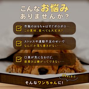 犬 天然木 おもちゃ 噛む コーヒーウッド 木...の詳細画像2