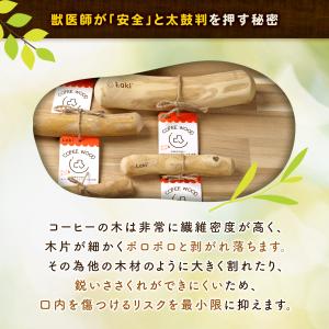 犬 天然木 おもちゃ 噛む コーヒーウッド 木...の詳細画像5