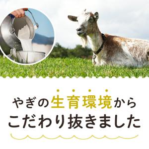 無添加 ヤギミルク パウダー オランダ産 10...の詳細画像4