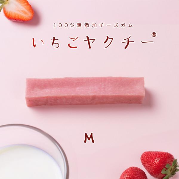 ヒマラヤ産 ハードスティック チーズ いちご ヤクチー 長持ち Mサイズ 1本 デンタルケア ストレ...