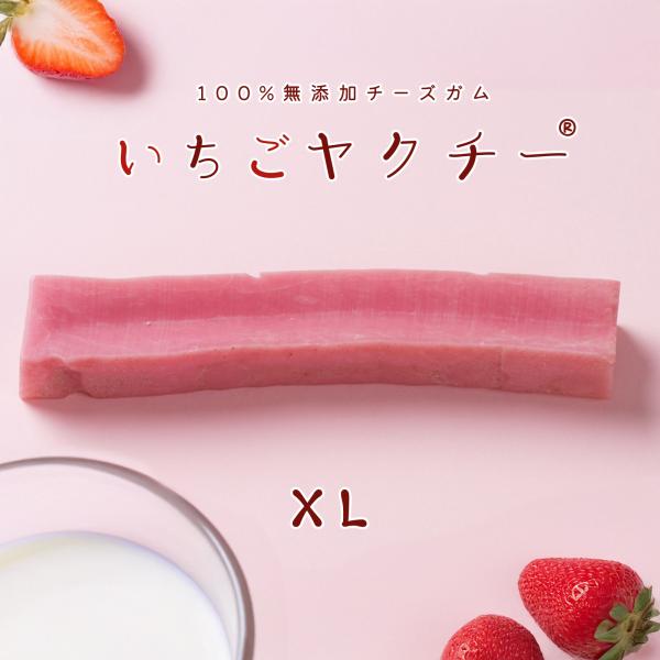 ヒマラヤ産 ハードスティック チーズ いちご ヤクチー 長持ち XLサイズ 1本 デンタルケア スト...