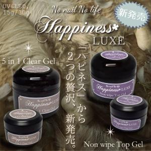 Bio Sculpture Gel バイオスカルプチュアジェル クリアジェル N2 4.5g