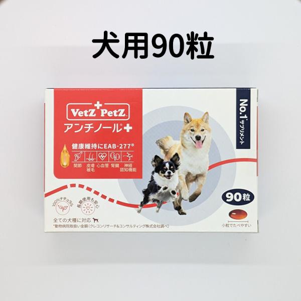 アンチノール プラス 犬 犬用 90粒 90 犬用サプリメント 90粒 送料無料 CCC