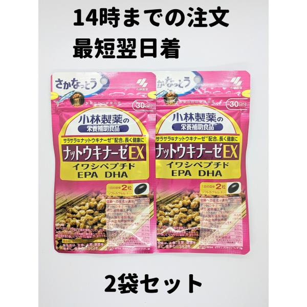 小林製薬 ナットウキナーゼEX 2袋(30日分×2) 送料無料 軽8 RAA