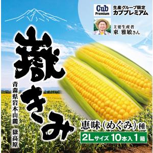 ご注文は8月20日15時まで 嶽きみ 2Lサイズ10本 ギフト 青森県 弘前市 嶽地区産 採れたて当日出荷 生産者指定 めぐみ 先着順 トウモロコシ