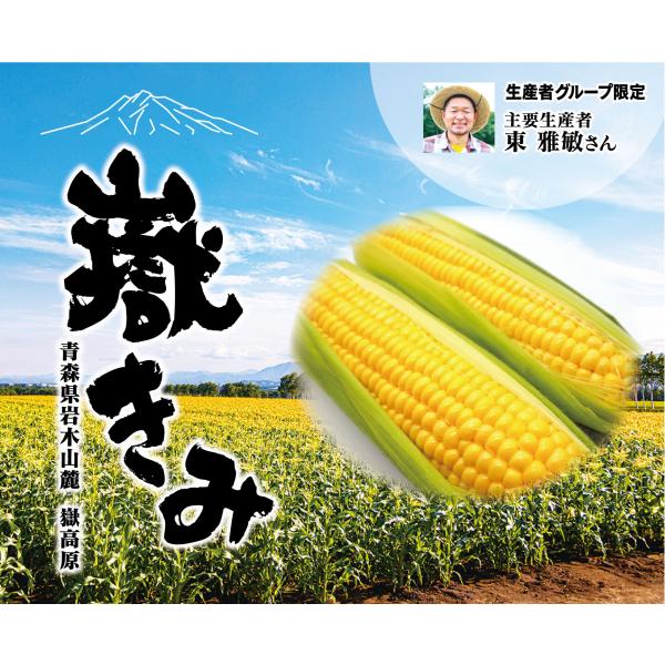ご注文は8月12日まで 嶽きみ めぐみ 2Lサイズ 10本 ギフト 青森県 弘前市 嶽地区産 採れた...