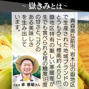 ご注文は8月9日まで 嶽きみ めぐみ 2Lサイ...の詳細画像1
