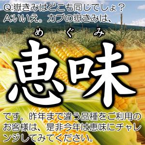 ご注文は8月9日まで 嶽きみ めぐみ 2Lサイ...の詳細画像2