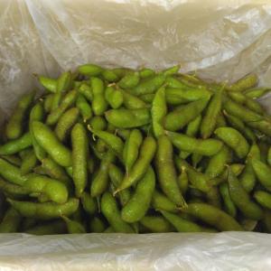 毛豆 1.5kg レンジ対応小分け袋 5枚入 ...の詳細画像5